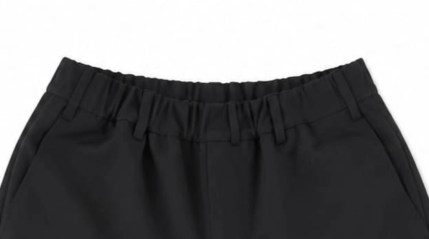 EYEZERA PLEATED PANTS